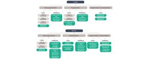 Guide de choix pour trouver le produit Delta Dore adapté au pilotage du chauffage hydraulique.