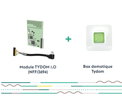 Module Tydom 1.0 pour motorisation Novoferm